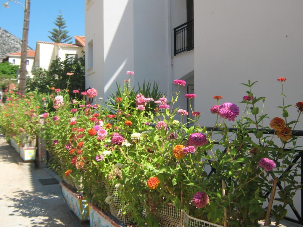 Friderica House Ξενοδοχείο Πόρος Δωμάτιο φωτογραφία