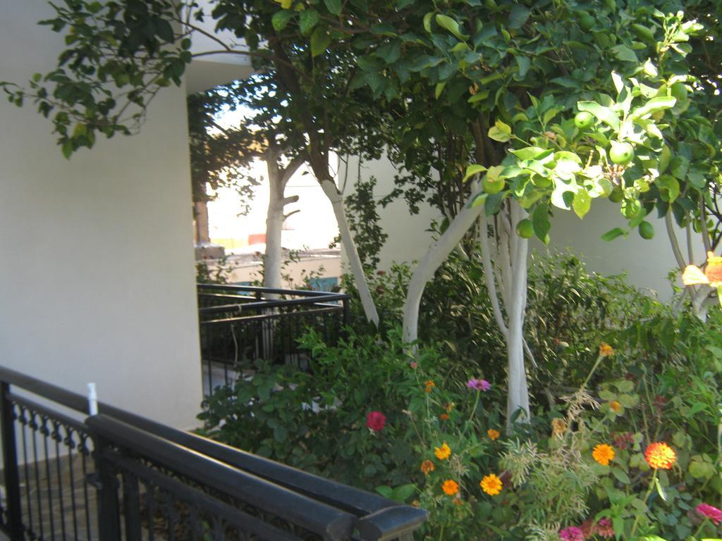 Friderica House Ξενοδοχείο Πόρος Δωμάτιο φωτογραφία