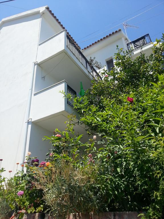 Friderica House Ξενοδοχείο Πόρος Εξωτερικό φωτογραφία
